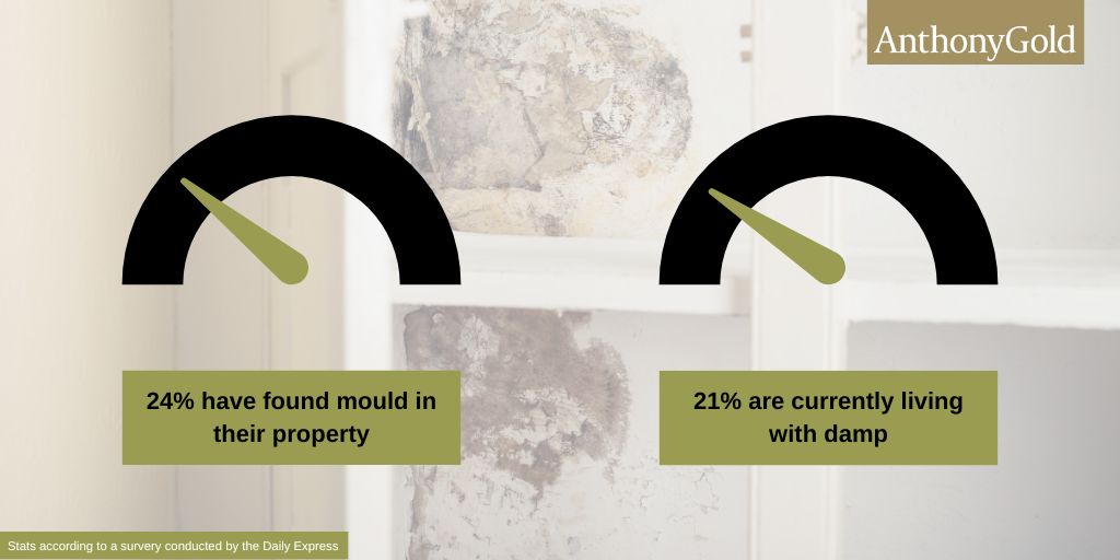 24% have found mould in their property